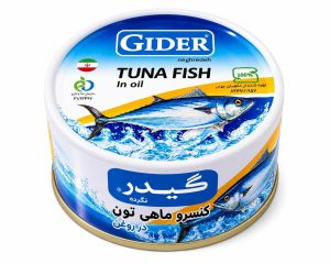 tona-gider